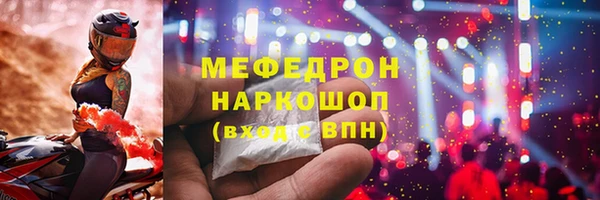 индика Белокуриха